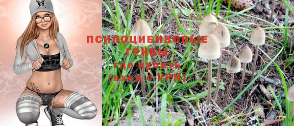 прущая мука Алзамай