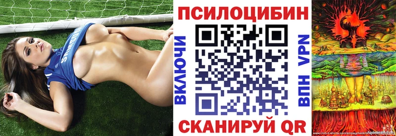 Псилоцибиновые грибы Cubensis  Харовск 