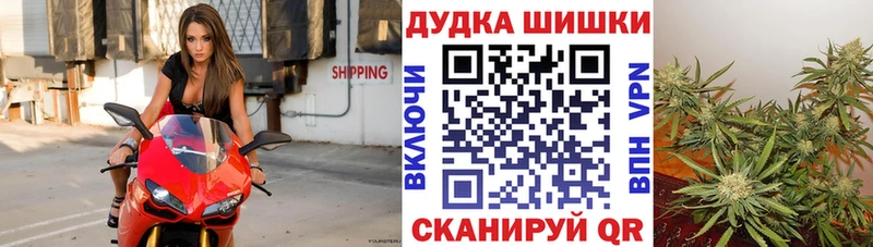 Конопля OG Kush  наркота  сайты даркнета клад  Харовск 